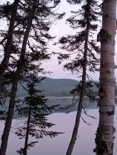 Détail du cabinet de consultation