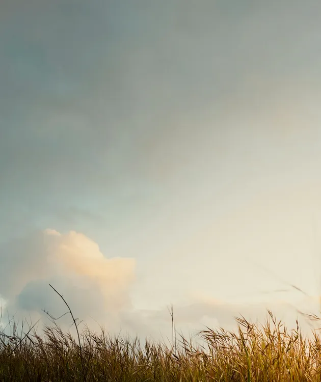 Consultation en psychothérapie